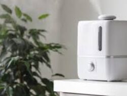 Review Gadget Singkat Smart Air Humidifier Otomatis untuk Kelembapan Ruangan Ideal
